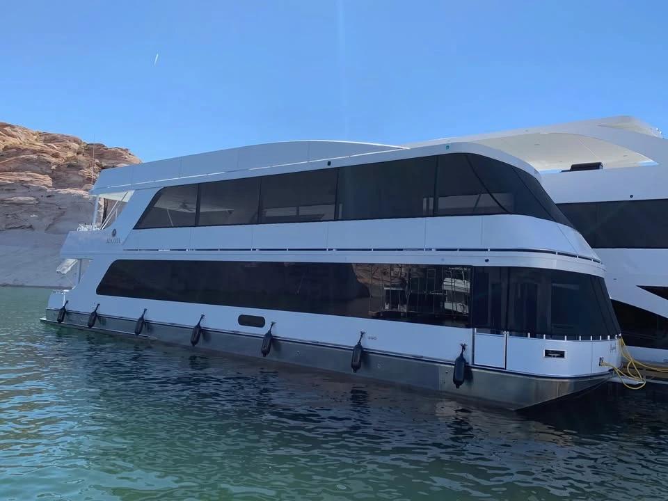 2020 Adonia harmony