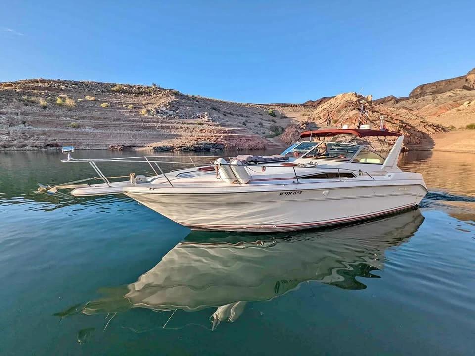 1990 Sea Ray 310 express cruiser