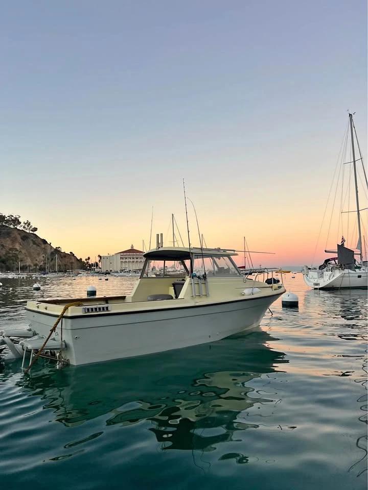 1983 Bayliner Trophy 21