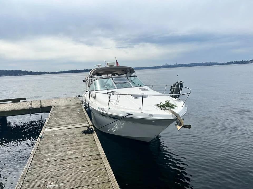 1999 Searay sundancer 290 290 Sundancer