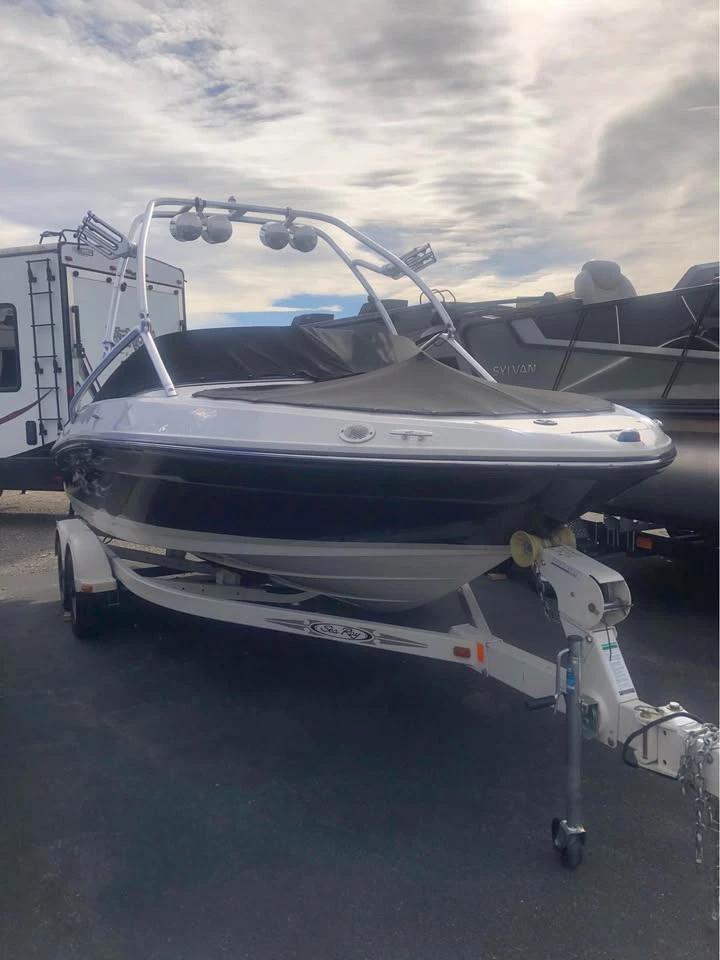 2008 Sea Ray 205 Sort
