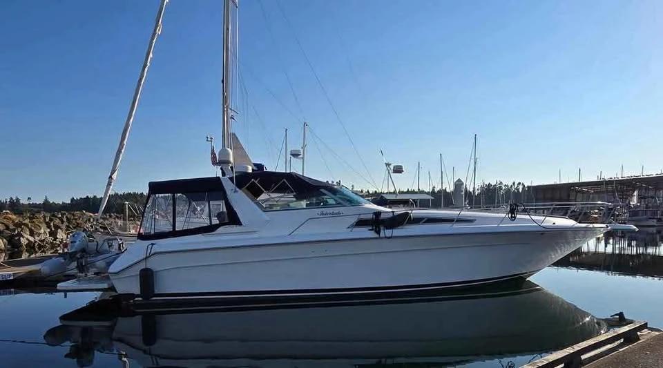 1989 Searay da sundancer 220 Sundancer