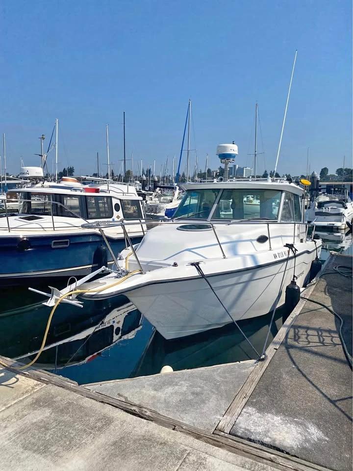 1999 Seaswirl Striper 2600 Sport Cabin Striper 2600 Sport Cabin
