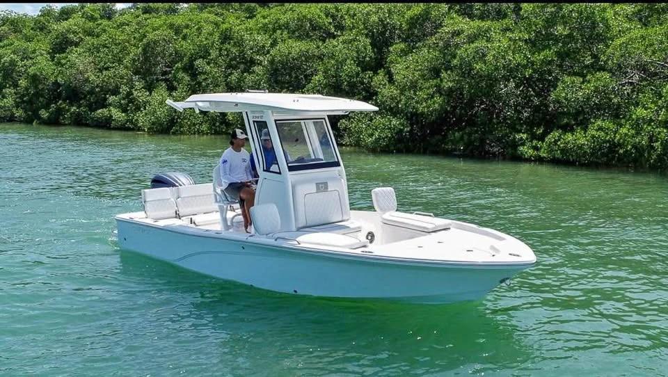 2025 Sea Fox 231