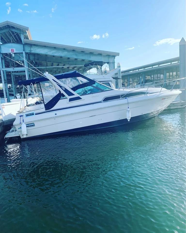 1987 SeaRay Sundancer 270 Sundancer 270