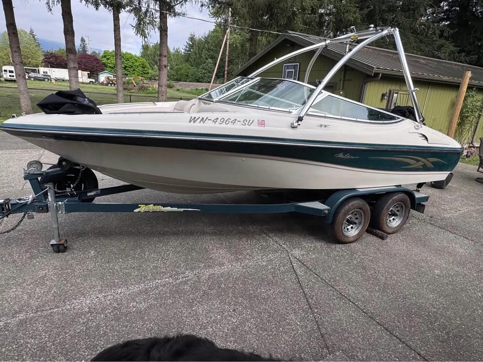 2003 Milan 210DX Ski Boat 210 DX