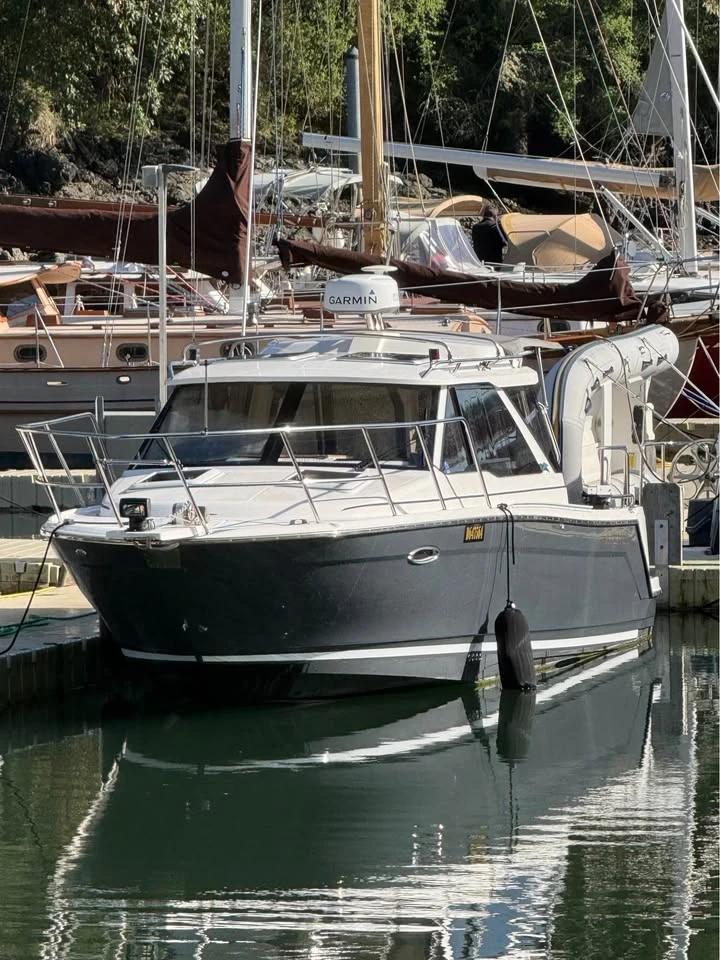 2023 Cutwater 248 w/ trailer C-248 Coupe
