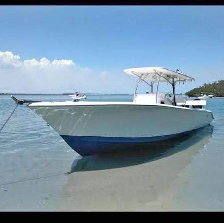 2006 Palmetto 33 Adventure