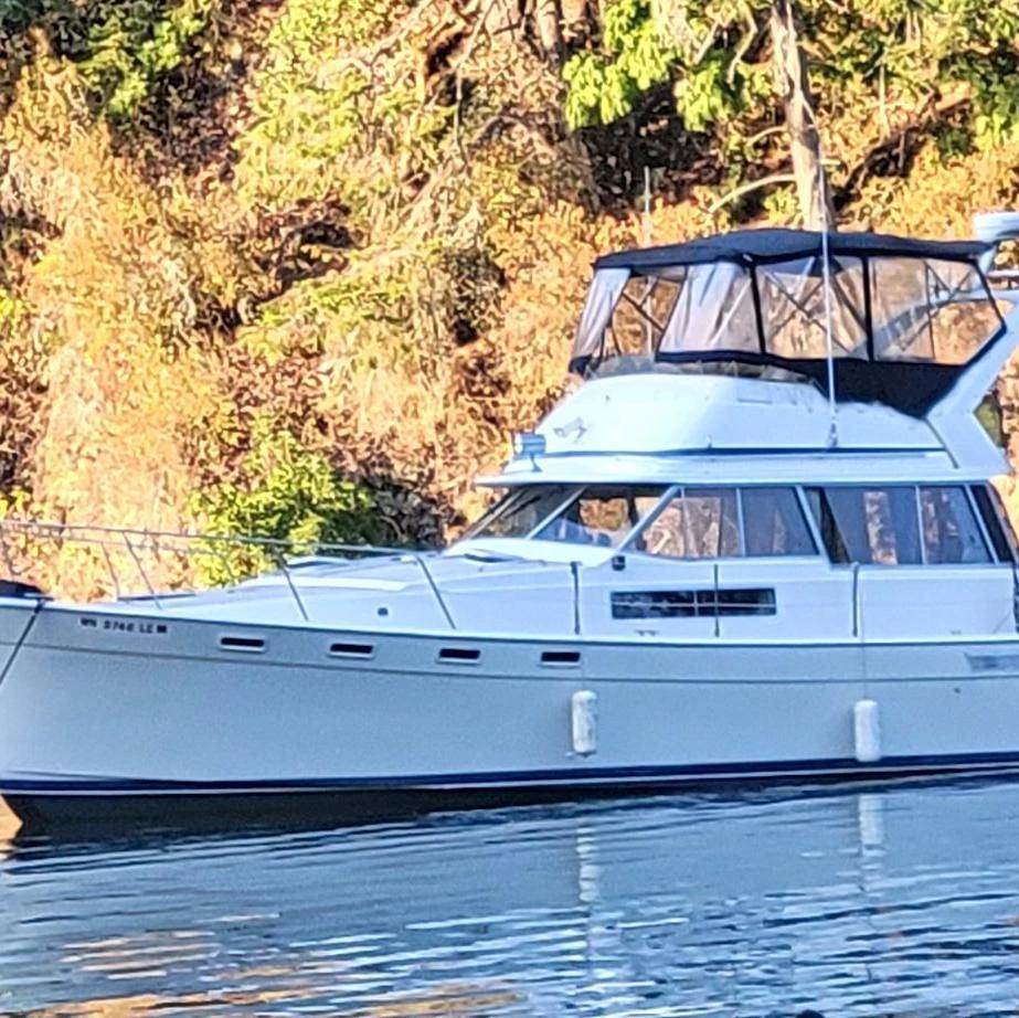 1984 Bayliner 3870 3870 Command Bridge
