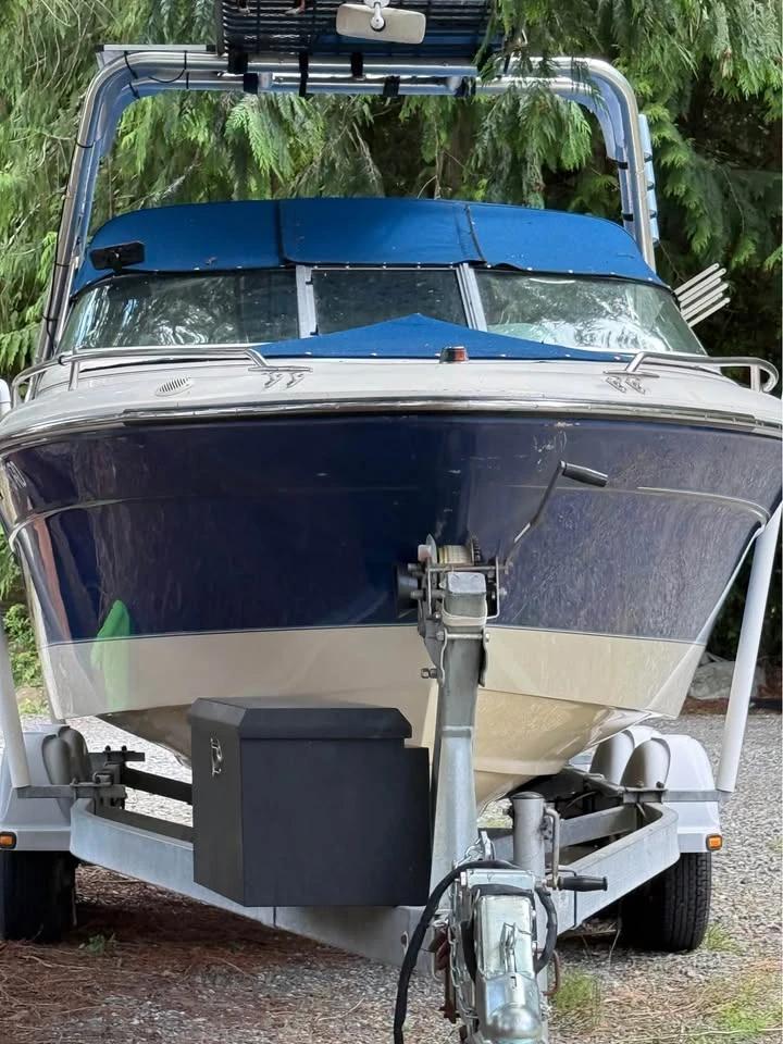 1995 Sea ray signature 220