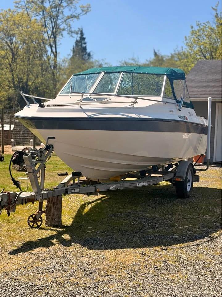 1992 19’ Livingston Livingston 19 Warrior