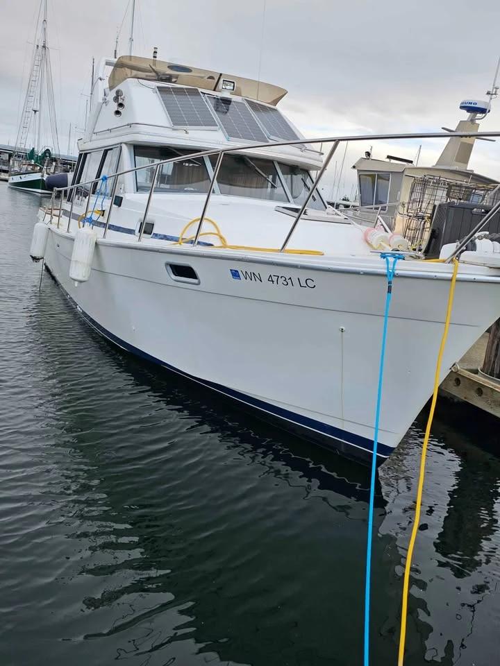 1987 Bayliner 3217 3288 3270 Motor Yacht