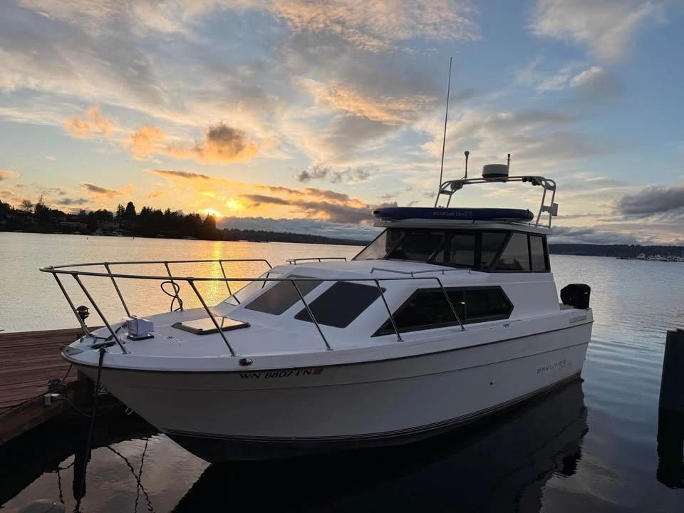 1993 Bayliner Super Classic